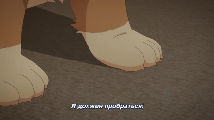 Стать любимой собачкой