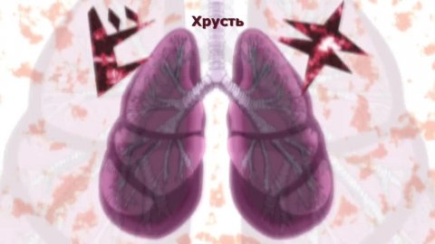 Перевоплотился в седьмого принца, так что я буду совершенствовать свою магию, как захочу 1 сезон