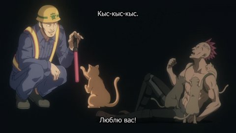 Ночь живых кошаков