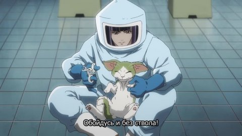 Ночь живых кошаков